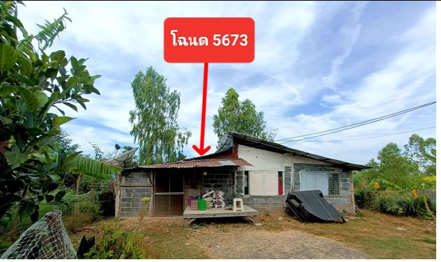 ขายทอดตลาด ที่ดินพร้อมสิ่งปลูกสร้าง ต.ดงพลอง อ.แคนดง จ.บุรีรัมย์
