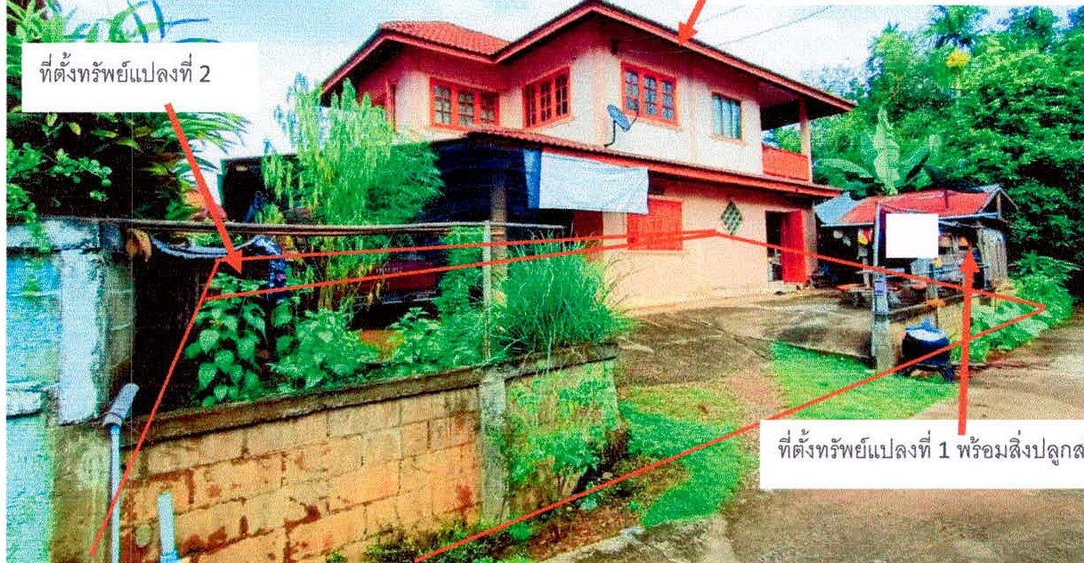 ขายทอดตลาด ที่ดินพร้อมสิ่งปลูกสร้าง ต.แสนทอง อ.ท่าวังผา จ.น่าน