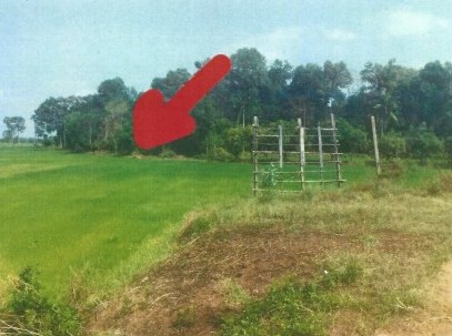 ขายทอดตลาด ที่ดินว่างเปล่า ต.เจ้าท่า อ.กมลาไสย จ.กาฬสินธุ์