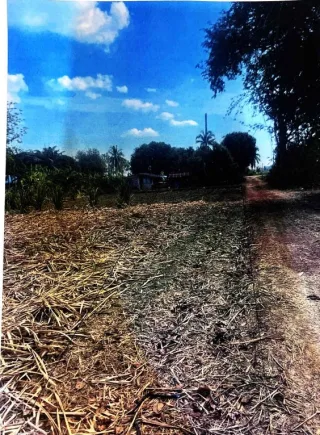 รูปทรัพย์ 1