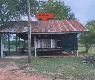 รูปทรัพย์ 1