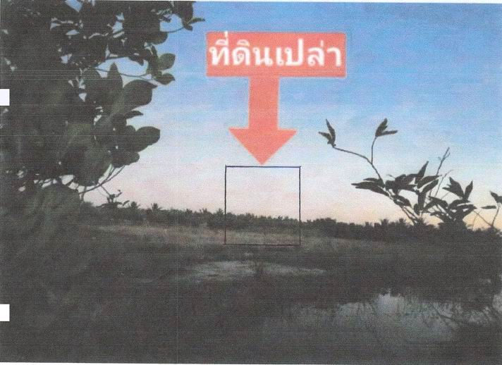 ขายทอดตลาด ที่ดินว่างเปล่า ต.สามกระทาย อ.กุยบุรี จ.ประจวบคีรีขันธ์