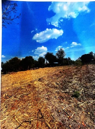 รูปทรัพย์ 2