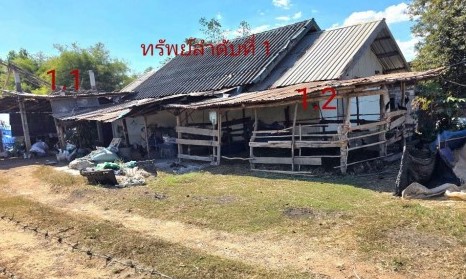 ขายทอดตลาด ที่ดินพร้อมสิ่งปลูกสร้าง ต.สำราญ อ.สามชัย จ.กาฬสินธุ์