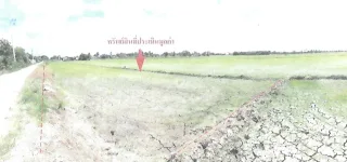 รูปทรัพย์ 1