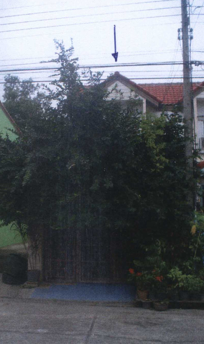 ขายทอดตลาด ที่ดินพร้อมสิ่งปลูกสร้าง ต.บางโพเหนือ อ.สามโคก จ.ปทุมธานี