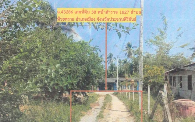 ขายทอดตลาด ที่ดินว่างเปล่า ต.ห้วยทราย อ.เมืองประจวบคีรีขันธ์ จ.ประจวบคีรีขันธ์