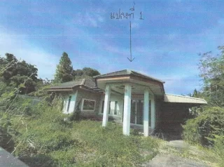 รูปทรัพย์ 1
