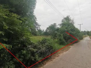 รูปทรัพย์ 1