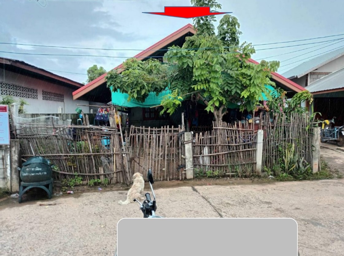ขายทอดตลาด ที่ดินพร้อมสิ่งปลูกสร้าง ต.มะเฟือง อ.พุทไธสง จ.บุรีรัมย์
