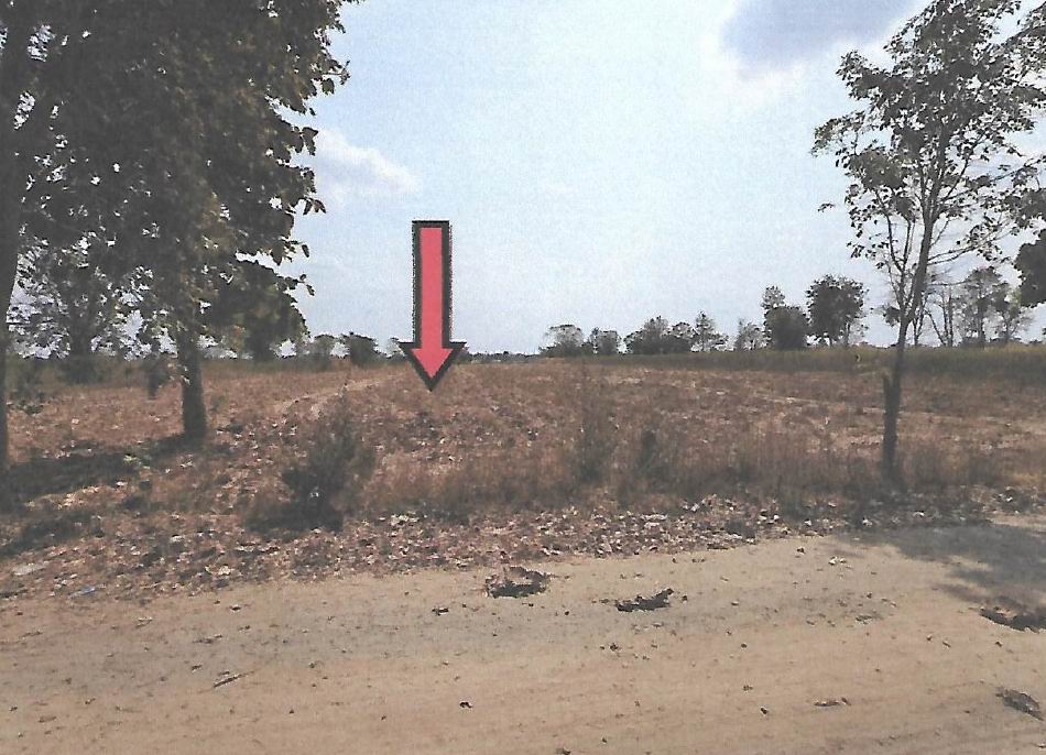 ขายทอดตลาด ที่ดินว่างเปล่า ต.โคกสะอาด อ.ลำปลายมาศ จ.บุรีรัมย์