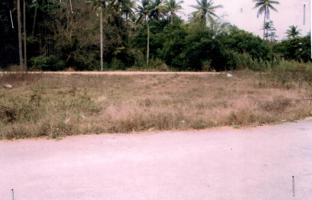 ขายทอดตลาด ที่ดินว่างเปล่า ต.ทองมงคล อ.บางสะพาน จ.ประจวบคีรีขันธ์