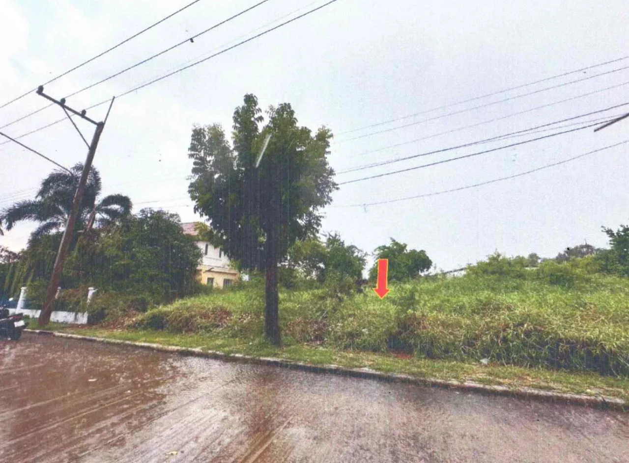 ขายทอดตลาด ที่ดินว่างเปล่า ต.บางคูวัด อ.เมืองปทุมธานี จ.ปทุมธานี