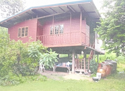 ขายทอดตลาด ที่ดินพร้อมสิ่งปลูกสร้าง ต.หลักเขต อ.เมืองบุรีรัมย์ จ.บุรีรัมย์