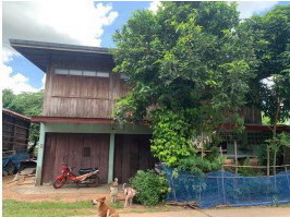 ขายทอดตลาด ที่ดินพร้อมสิ่งปลูกสร้าง ต.เหล่ากลาง อ.ฆ้องชัย จ.กาฬสินธุ์