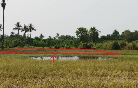 ขายทอดตลาด ที่ดินว่างเปล่า ต.แสนตอ อ.ขาณุวรลักษบุรี จ.กำแพงเพชร