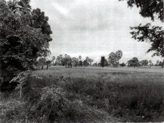 รูปทรัพย์ 3