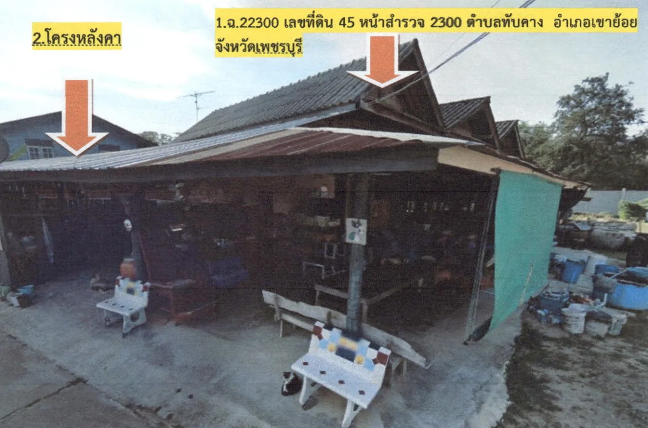 ขายทอดตลาด ที่ดินพร้อมสิ่งปลูกสร้าง ต.ทับคาง อ.เขาย้อย จ.เพชรบุรี