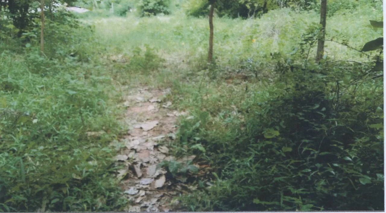 ขายทอดตลาด ที่ดินว่างเปล่า ต.กาฬสินธุ์ อ.เมืองกาฬสินธุ์ จ.กาฬสินธุ์
