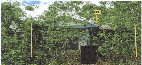 ขายทอดตลาด ที่ดินพร้อมสิ่งปลูกสร้าง ต.ทับสะแก อ.ทับสะแก จ.ประจวบคีรีขันธ์