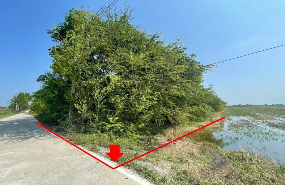 ขายทอดตลาด ที่ดินว่างเปล่า ต.บ่อเงิน อ.ลาดหลุมแก้ว จ.ปทุมธานี