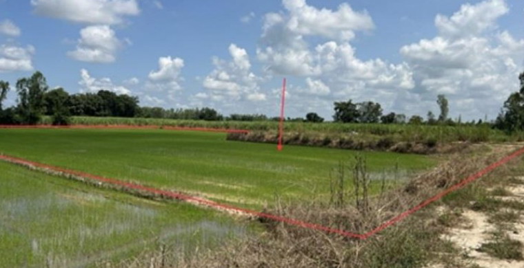 ขายทอดตลาด ที่ดินว่างเปล่า ต.ไตรตรึงษ์ อ.เมืองกำแพงเพชร จ.กำแพงเพชร