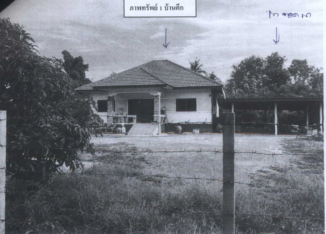 ขายทอดตลาด ที่ดินพร้อมสิ่งปลูกสร้าง ต.ไร่มะขาม อ.บ้านลาด จ.เพชรบุรี