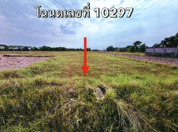 ขายทอดตลาด ที่ดินว่างเปล่า ต.บ้านแพ อ.คูเมือง จ.บุรีรัมย์