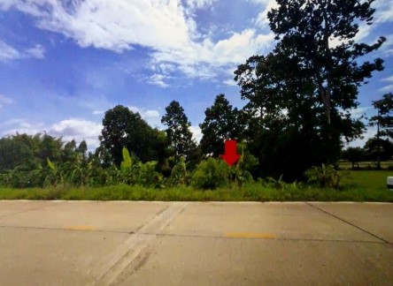 ขายทอดตลาด ที่ดินว่างเปล่า ต.ลำชี อ.ฆ้องชัย จ.กาฬสินธุ์