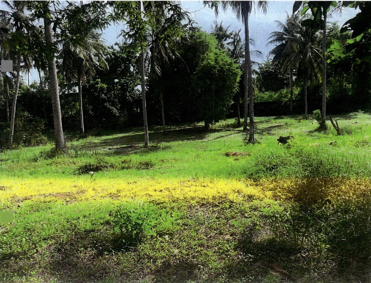 ขายทอดตลาด ที่ดินว่างเปล่า จ.ประจวบคีรีขันธ์