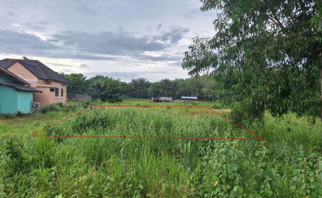 ขายทอดตลาด ที่ดินว่างเปล่า ต.ทรายทอง อ.บางสะพานน้อย จ.ประจวบคีรีขันธ์