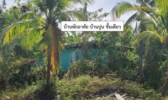 ขายทอดตลาด ที่ดินพร้อมสิ่งปลูกสร้าง ต.สามกระทาย อ.กุยบุรี จ.ประจวบคีรีขันธ์
