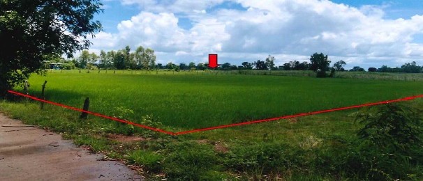 ขายทอดตลาด ที่ดินว่างเปล่า ต.เมืองโพธิ อ.ห้วยราช จ.บุรีรัมย์