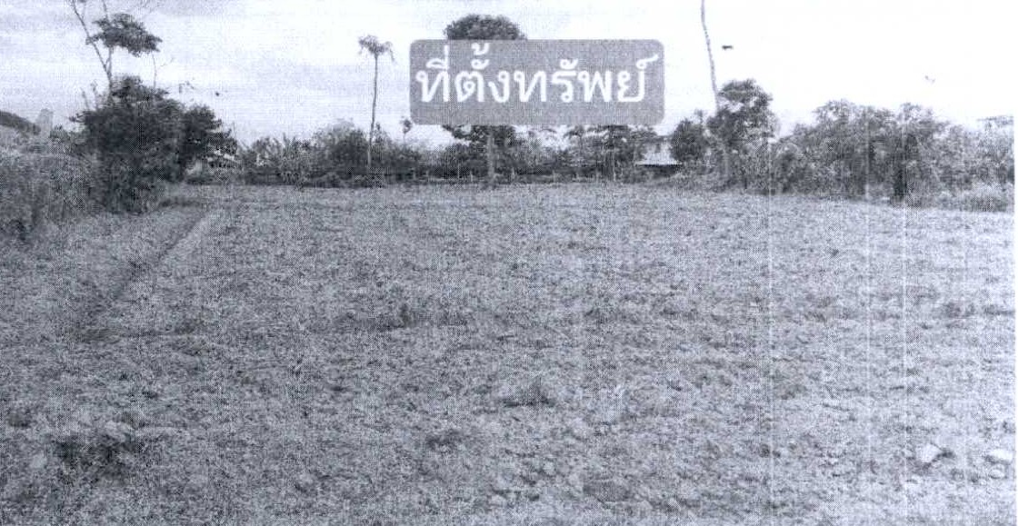 ขายทอดตลาด ที่ดินว่างเปล่า ต.มาบปลาเค้า อ.ท่ายาง จ.เพชรบุรี