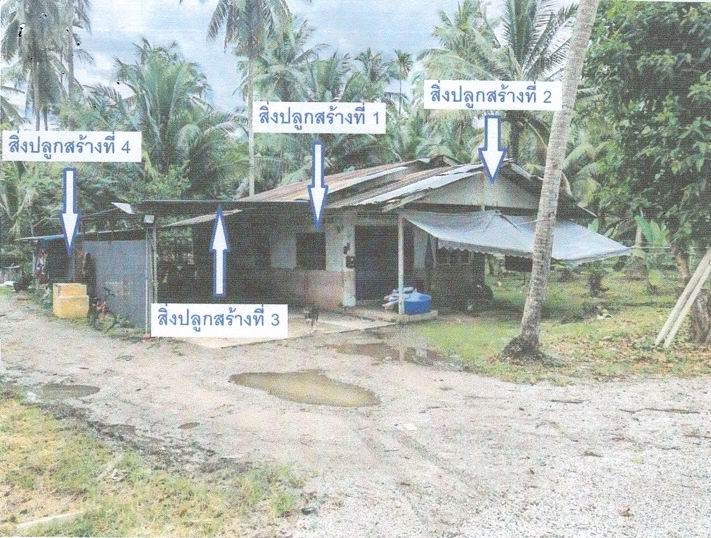 ขายทอดตลาด ที่ดินพร้อมสิ่งปลูกสร้าง ต.พงศ์ประศาสน์ อ.บางสะพาน จ.ประจวบคีรีขันธ์