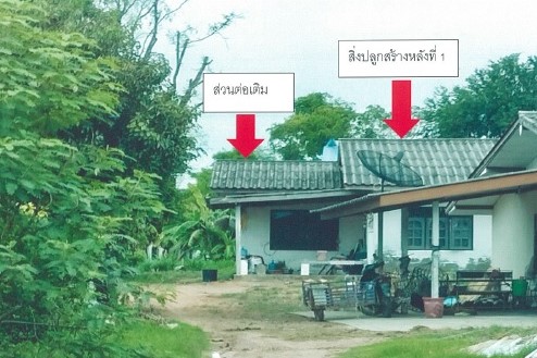 ขายทอดตลาด ที่ดินพร้อมสิ่งปลูกสร้าง ต.หายโศก อ.พุทไธสง จ.บุรีรัมย์