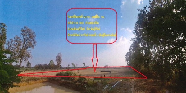 ขายทอดตลาด ที่ดินว่างเปล่า จ.บุรีรัมย์