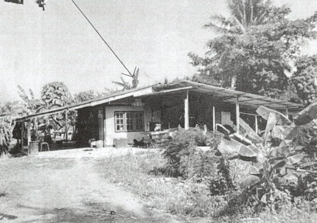 ขายทอดตลาด ที่ดินพร้อมสิ่งปลูกสร้าง ต.ไร่ใหม่พัฒนา อ.ชะอำ จ.เพชรบุรี