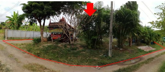 ขายทอดตลาด ที่ดินพร้อมสิ่งปลูกสร้าง ต.ประโคนชัย อ.ประโคนชัย จ.บุรีรัมย์
