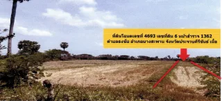 รูปทรัพย์ 2