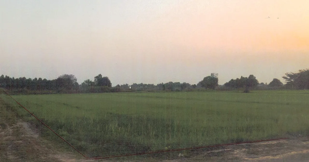 ขายทอดตลาด ที่ดินว่างเปล่า จ.กำแพงเพชร