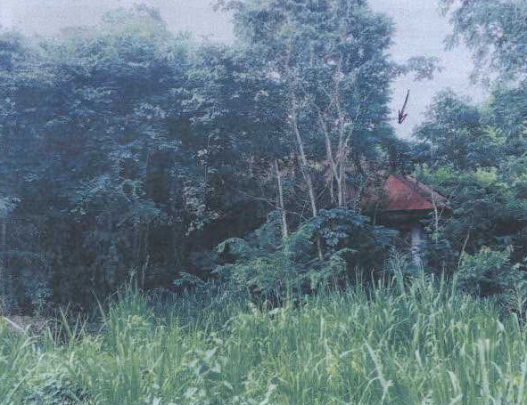 ขายทอดตลาด ที่ดินพร้อมสิ่งปลูกสร้าง ต.กลัดหลวง อ.ท่ายาง จ.เพชรบุรี