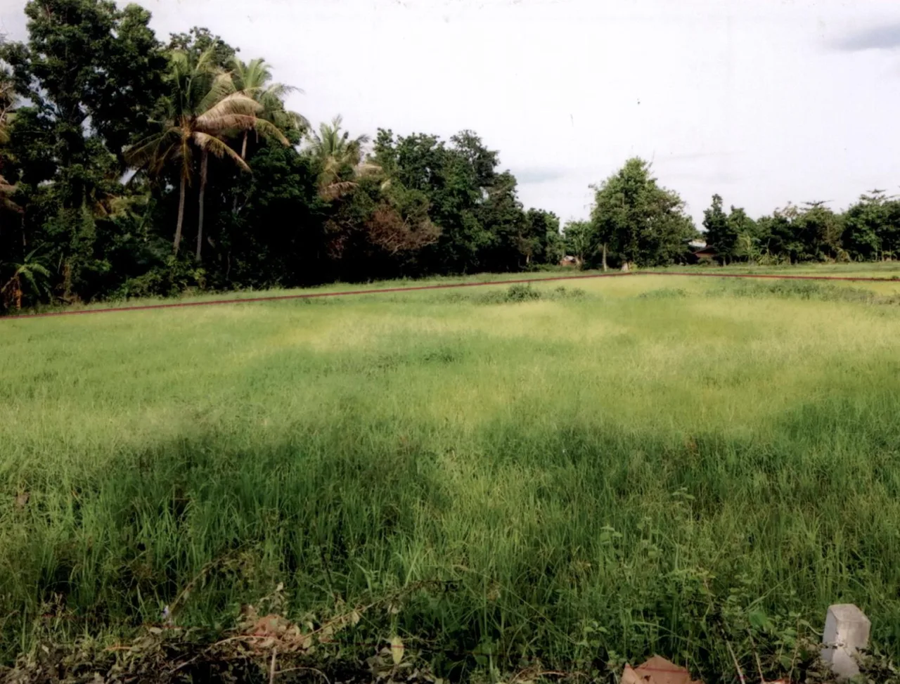 ขายทอดตลาด ที่ดินว่างเปล่า ต.ถลุงเหล็ก อ.เมืองบุรีรัมย์ จ.บุรีรัมย์