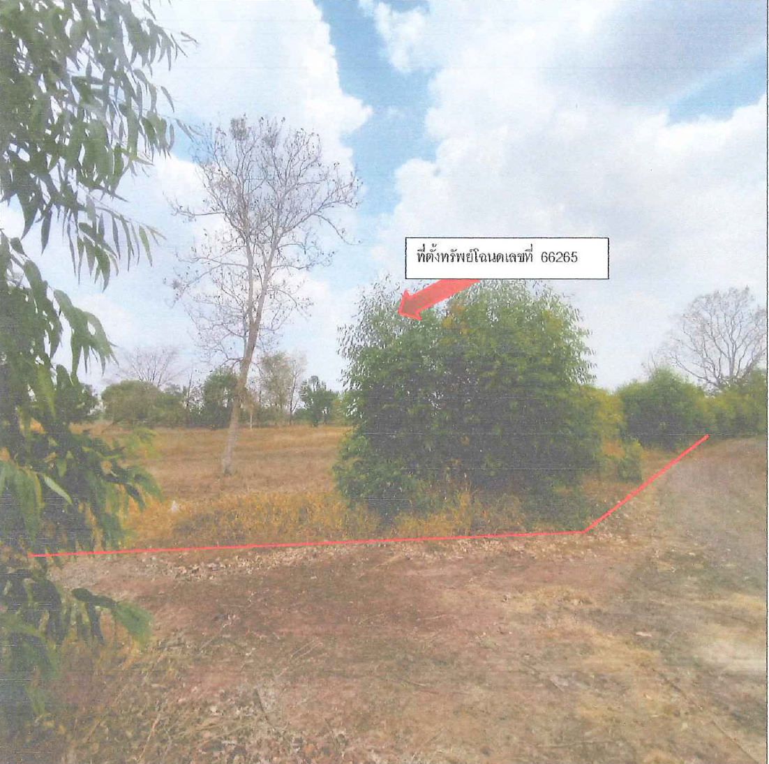 ขายทอดตลาด ที่ดินว่างเปล่า ต.ห้วยสำราญ อ.กระสัง จ.บุรีรัมย์