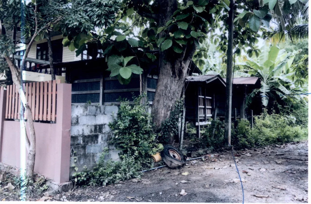 ขายทอดตลาด ที่ดินพร้อมสิ่งปลูกสร้าง ต.ชุมแสง อ.กระสัง จ.บุรีรัมย์
