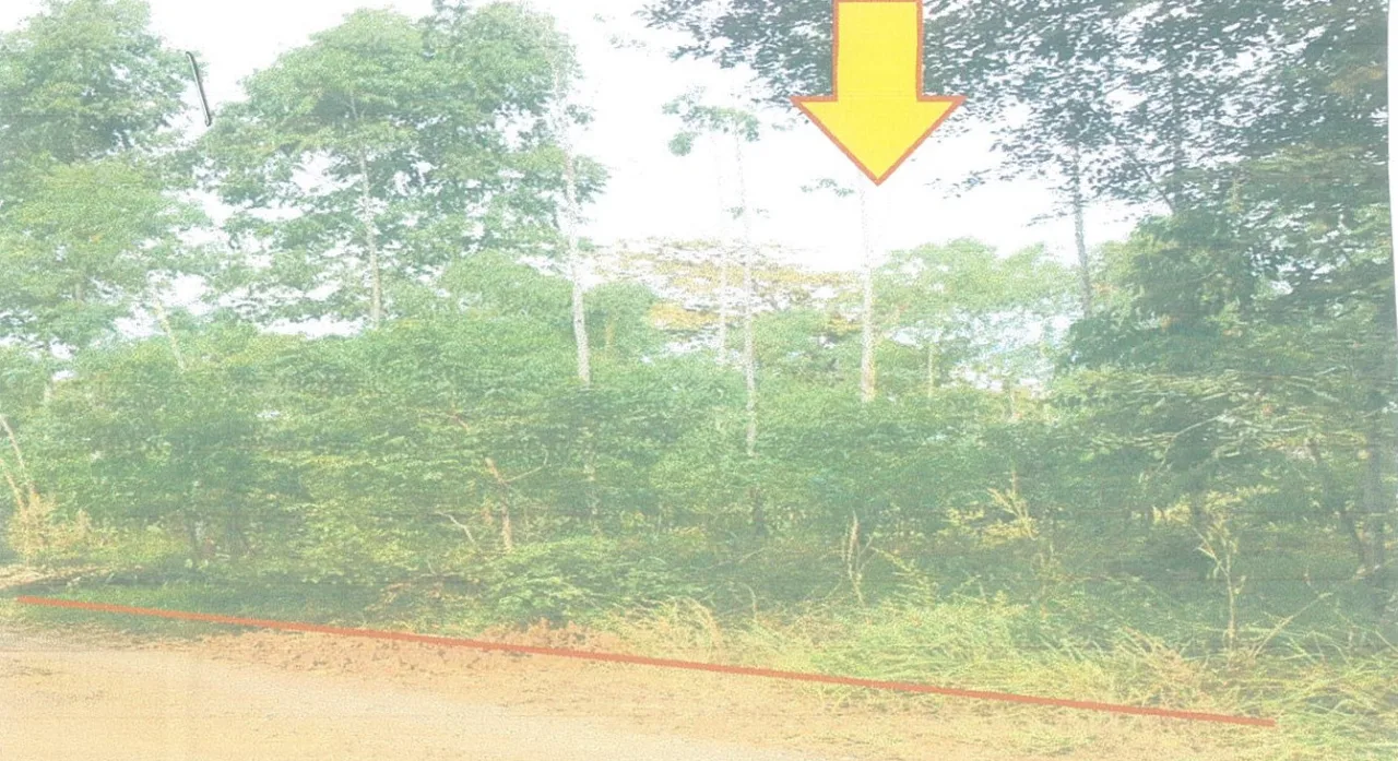 ขายทอดตลาด ที่ดินว่างเปล่า ต.หนองบัวโคก อ.ลำปลายมาศ จ.บุรีรัมย์