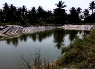 รูปทรัพย์ 1