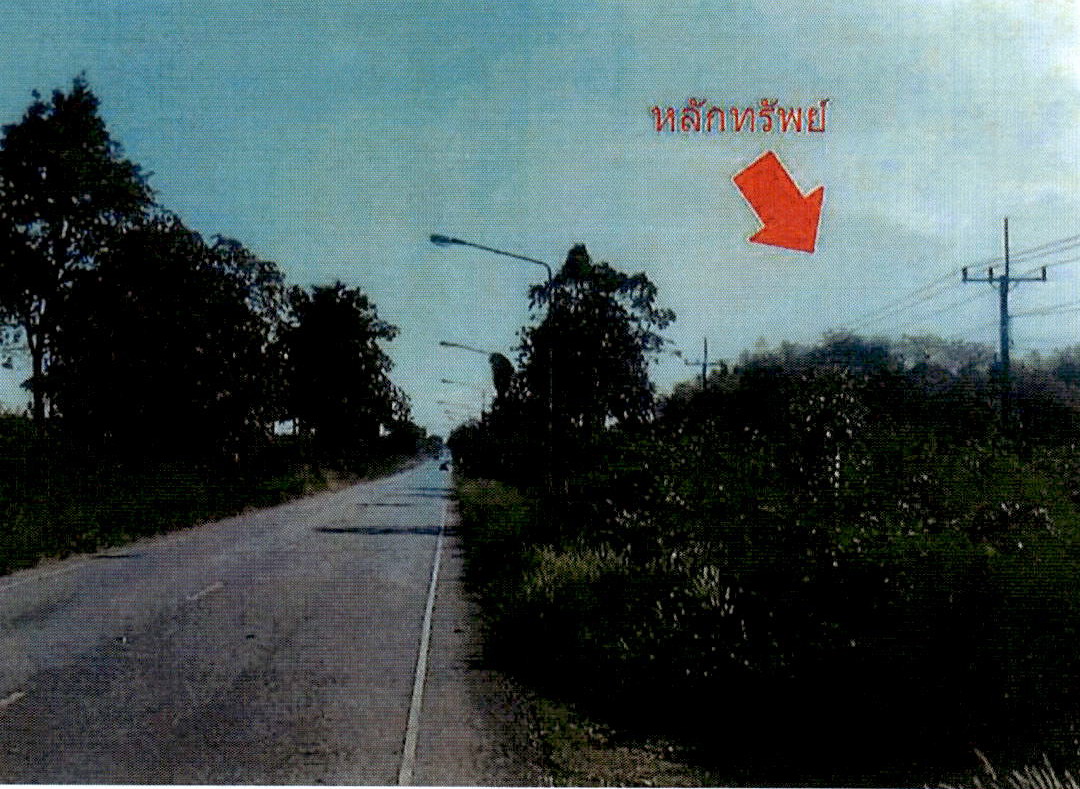 ขายทอดตลาด ที่ดินว่างเปล่า ต.วังไคร้ อ.ท่ายาง จ.เพชรบุรี