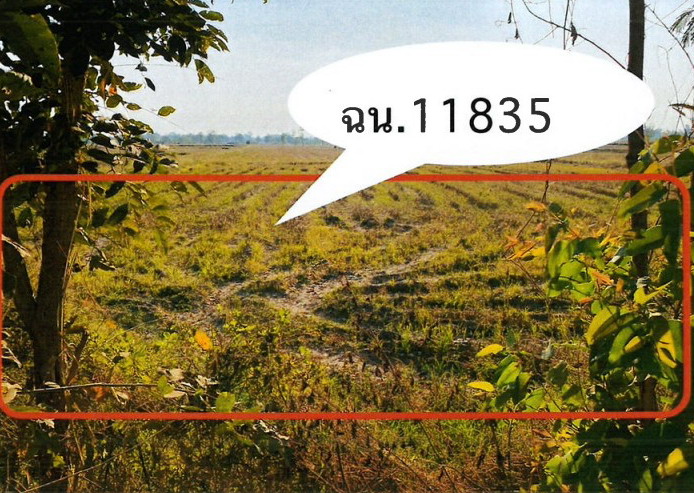 ขายทอดตลาด ที่ดินว่างเปล่า ต.ดอนแตง อ.ขาณุวรลักษบุรี จ.กำแพงเพชร