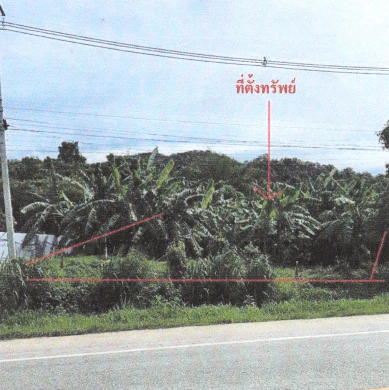 ขายทอดตลาด ที่ดินว่างเปล่า ต.หาดขาม อ.กุยบุรี จ.ประจวบคีรีขันธ์